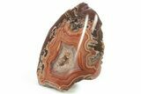 Colorful, Polished Dryhead Agate Section - Montana #265492-1